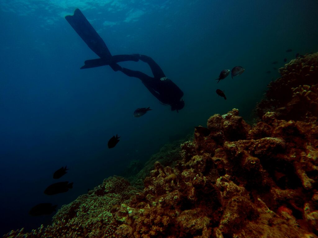 Scuba diver swims above colorful coral reef, surrounded by fish in an underwater scene.